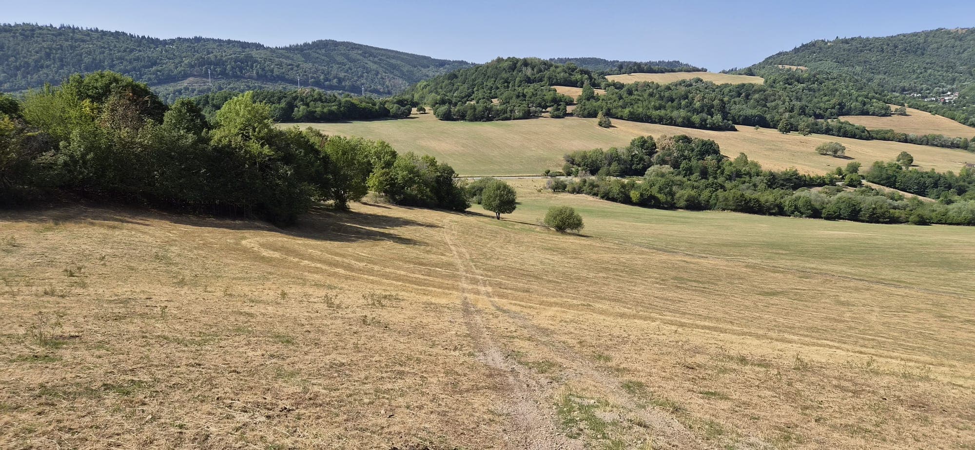 Poľná cesta cez suchú lúku, v pozadí zalesnené kopce