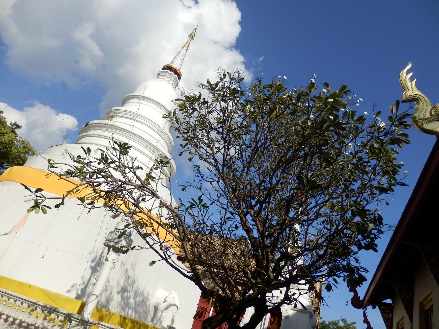 Biela stupa a strom proti modrej oblohe
