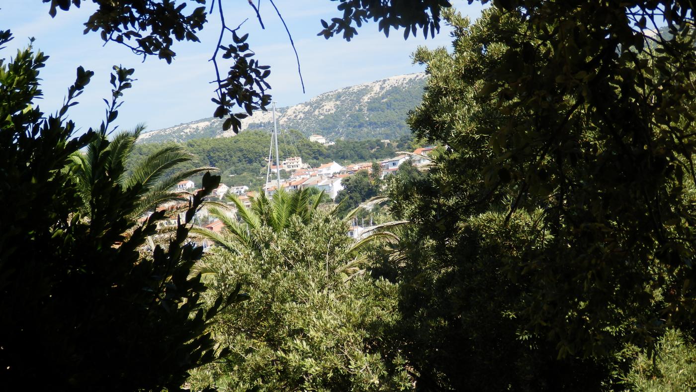 Pohľad cez stromy na mesto a pobrežie