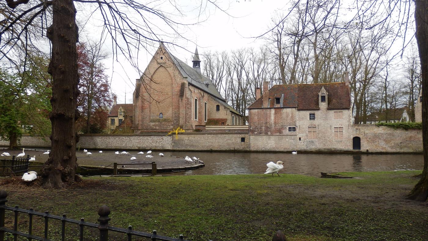 Kostolík a labute pri vode v Bruggách