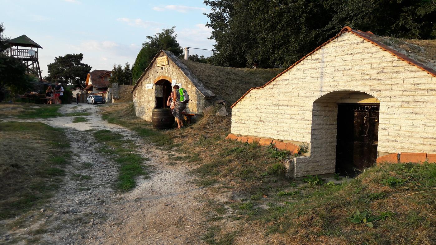 Vínne pivnice vykopané do svahu v Tokaji