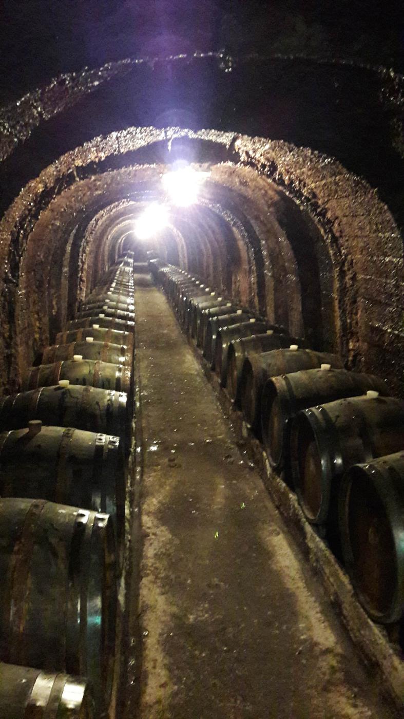 Tunel pivnice so sudmi