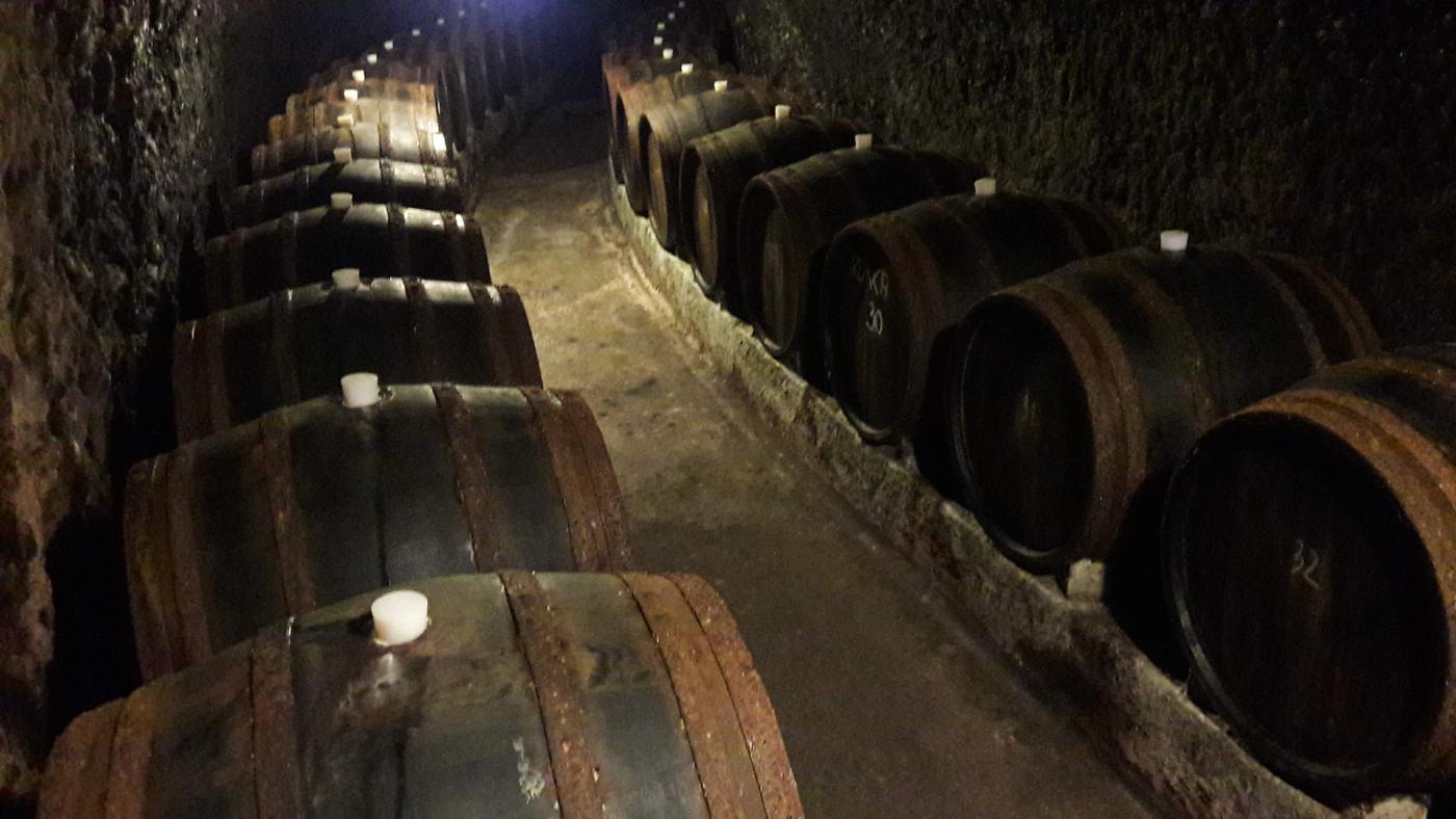 Dubové sudy v tokajskej pivnici