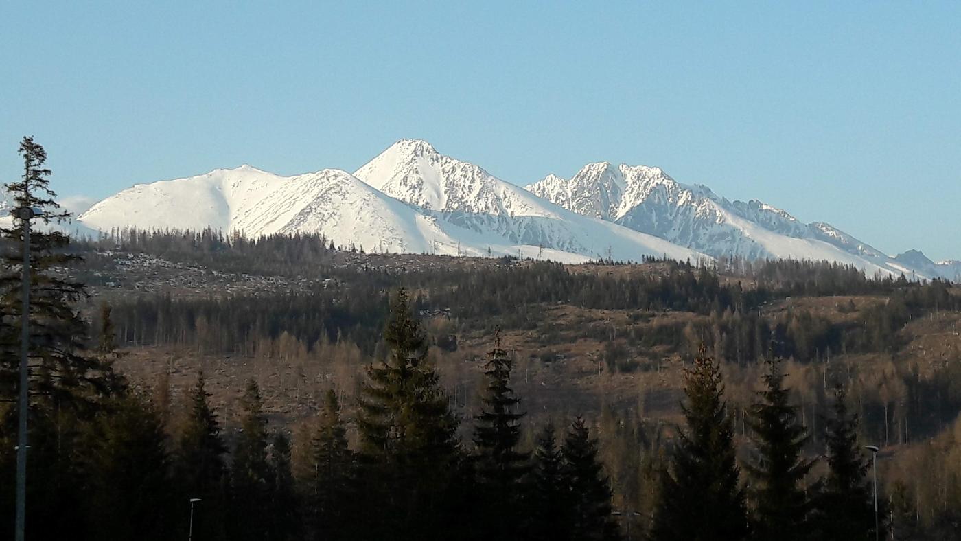 Zasnežené Vysoké Tatry nad lesom