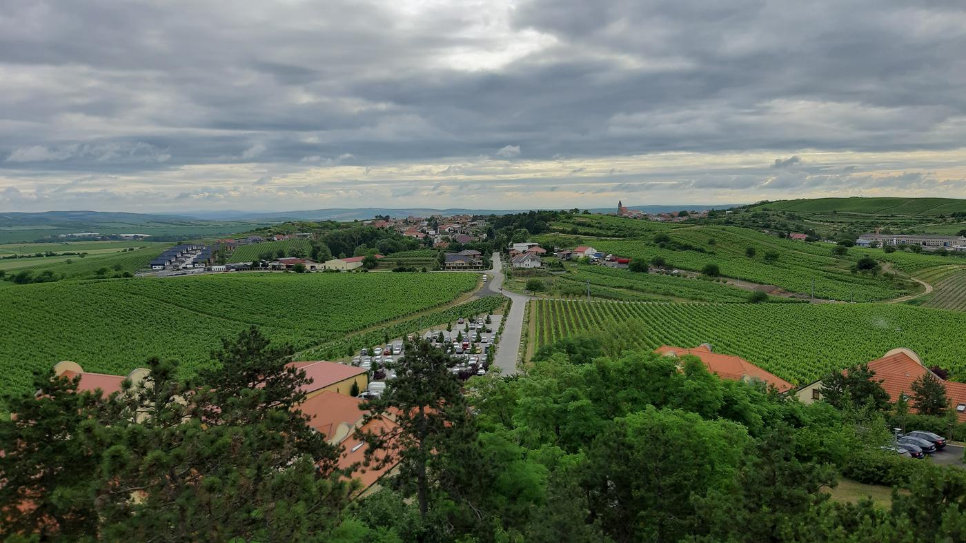 Vinohrady a vinárska obec na južnej Morave