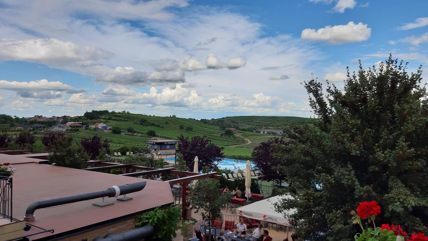 Moravská krajina z terasy vinárstva