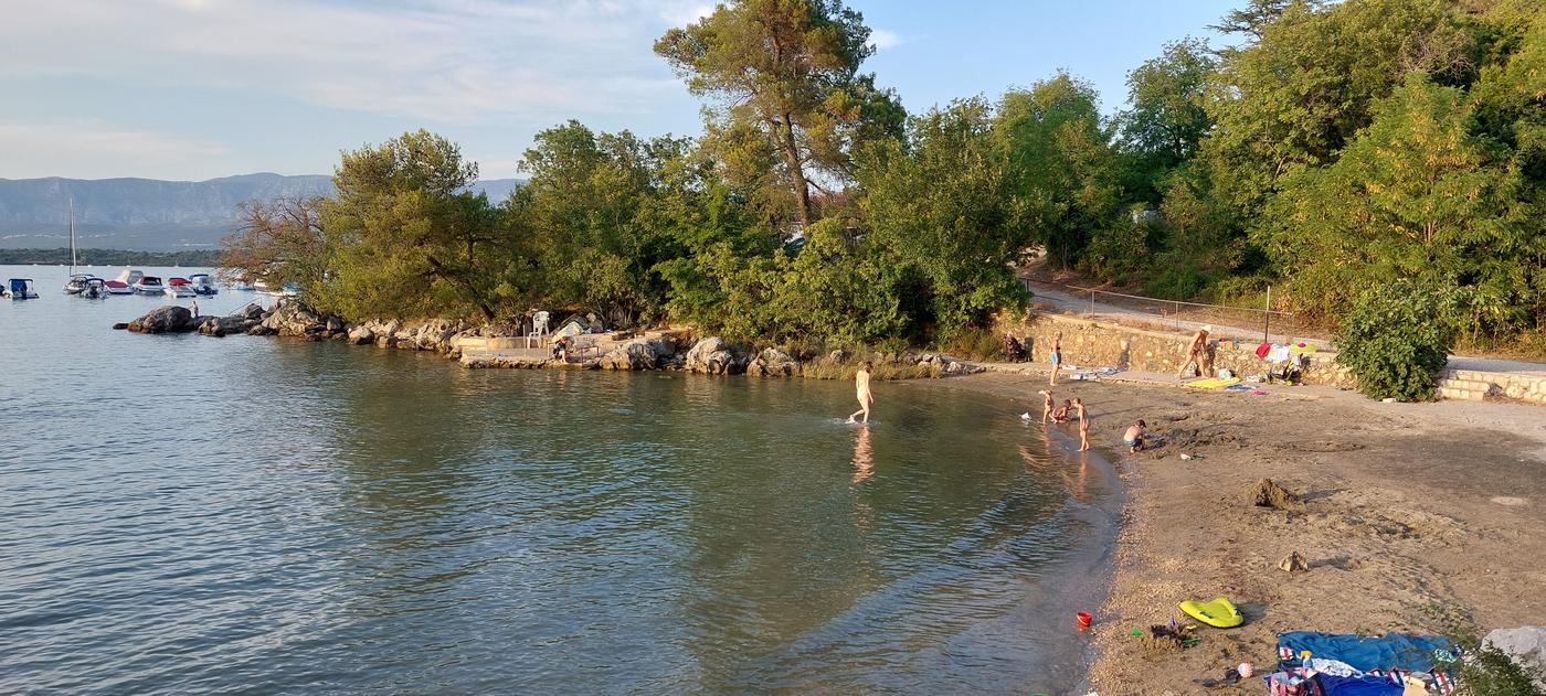 Zátoka s borovicami na ostrove Krk