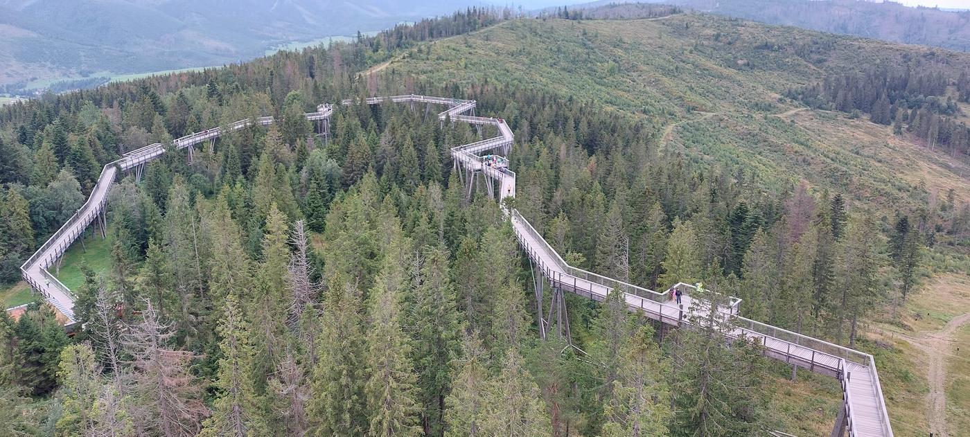 Chodník korunami stromov na Bachledke